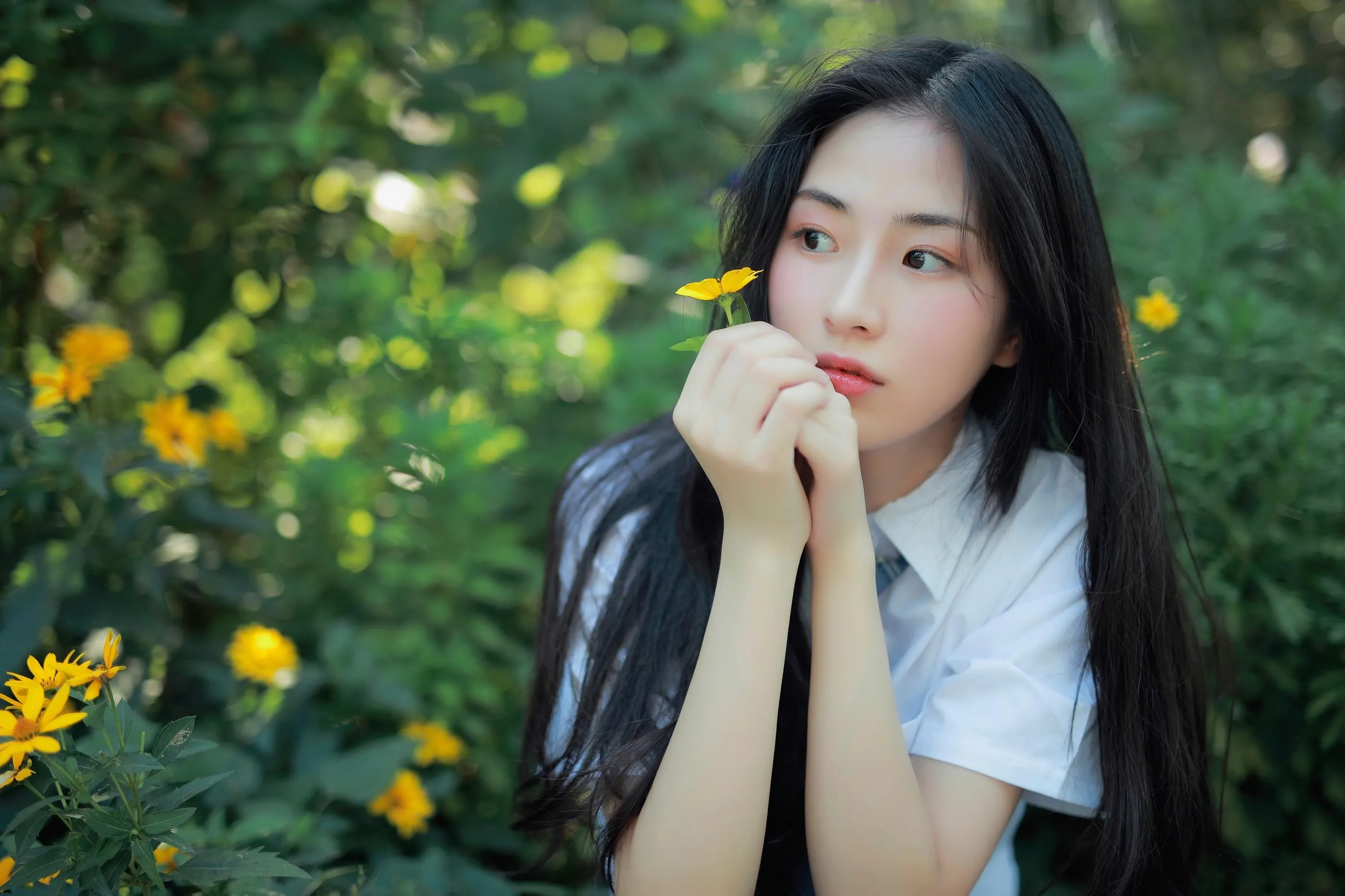 [艺图语] 2022.07.02 风很温柔，花很鲜艳 一帆 [22P]插图1